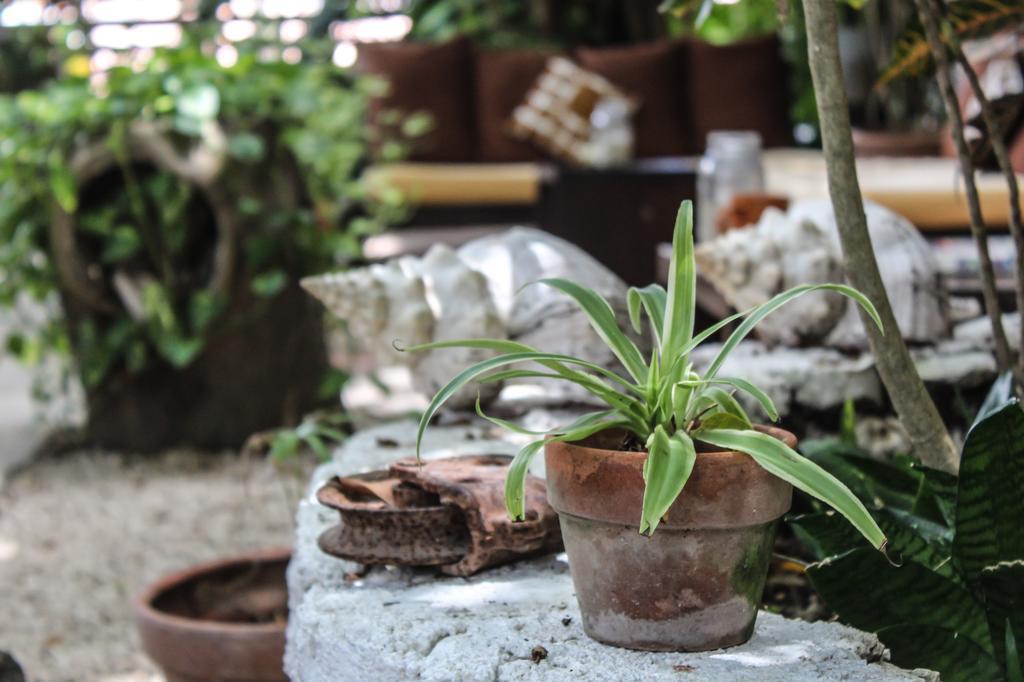 Secret Garden Tulum Hotel Buitenkant foto