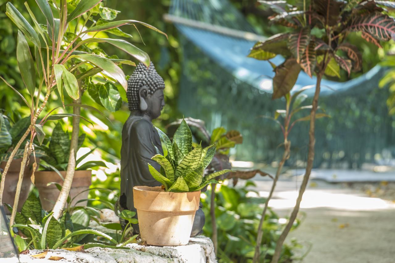 Secret Garden Tulum Hotel Buitenkant foto