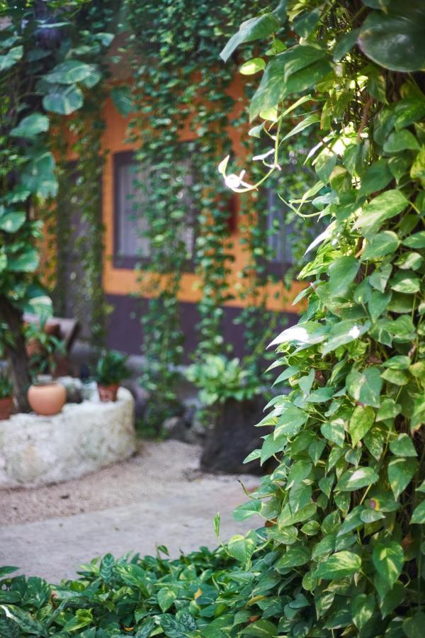 Secret Garden Tulum Hotel Buitenkant foto